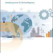 Publikationen Studie Rohstoffagenturen